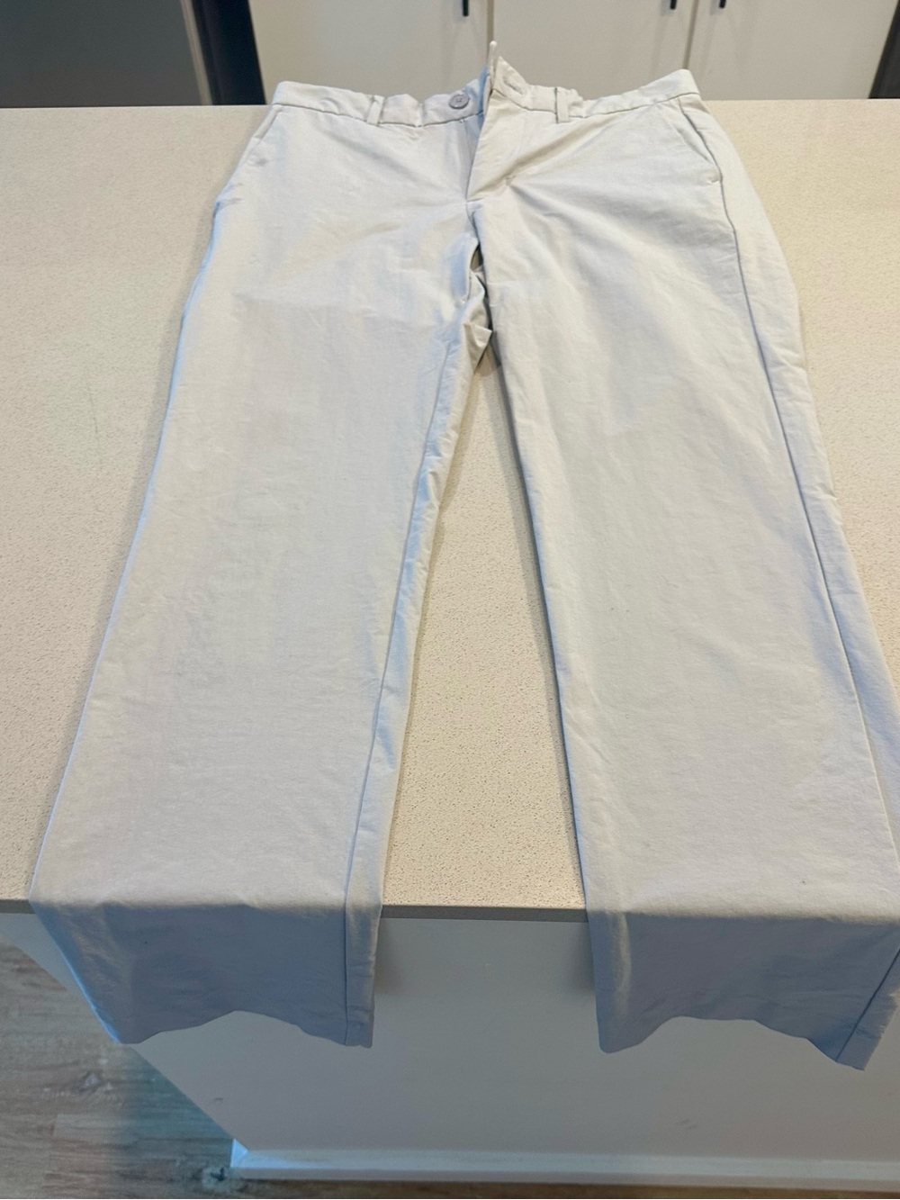 GAP Mens Light Gray Chinos